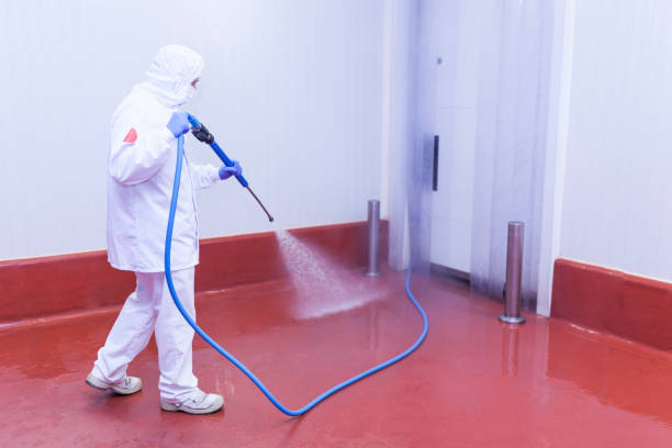 Reliable Berkley, CO Pressure Washing Solutions