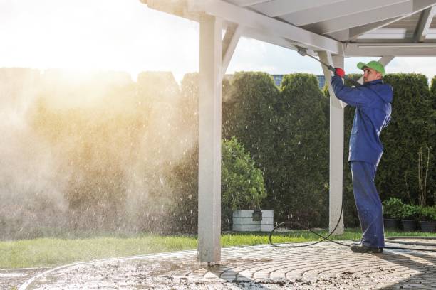 Animal Enclosure Cleaning in Berkley, CO