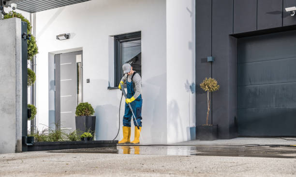 Best Roof Washing  in Berkley, CO